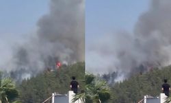 SON DAKİKA | Bodrum'da orman yangını çıktı
