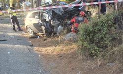 Trafik faciası! Otomobil ağaca çarptı, 71 yaşındaki kadın yaşamını yitirdi