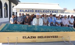 Yarım saat arayla iki kez araç çarptı: Yaşlı adamdan acı haber