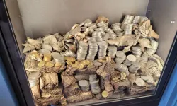 Louvre Müzesi'nin ardından Fransa'da bir müze daha soyuldu