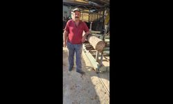 58 yaşındaki işçi tomruğun altında kalarak hayatını kaybetti
