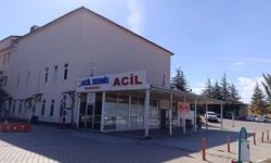 9 yaşındaki çocuk arı sokması nedeniyle hayatını kaybetti