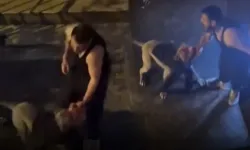 Sokakta korku dolu anlar: Pitbull sahibini saldırdı