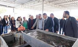Başkan Tugay, sezonun ilk zeytinyağı üretimini başlattı