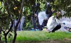 Çadırda yaşayan adam ölü bulundu