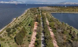 Çakalburnu Lagünü ve İnciraltı Kent Ormanı sonbahar güzelliğine büründü