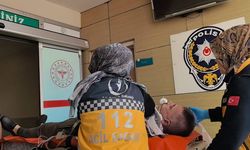 Ceviz ağacından düşen adam hayatını kaybetti