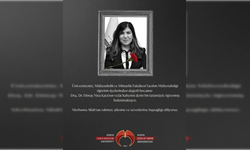 Doç. Dr. Dönay Nisa Kara hayatını kaybetti