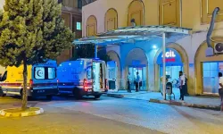 Feci kaza: : 66 yaşındaki adam ve eşeği yaralandı