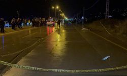 Sürüyle yol geçmeye çalışırken feci son: Çoban öldü, koyun telef oldu