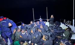 Göçmen operasyonu: 15’i çocuk 46 düzensiz göçmen yakalandı