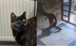 İşkenceyle öldürülen Cezve için sanık hakim karşısında