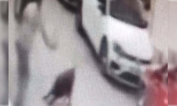 İzmir’de köpeğe şiddet uygulayan saldırgan tutuklandı
