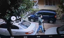 Kardeş kavgası cinayetle bitti: Meğer 3 yıl önce zıpkın ve satırla yaralamış!