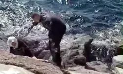 Kayalıkların arasına düşen kadını güvenlik görevlisi kurtardı