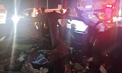 Korkunç trafik kazası: 1 ölü, 4 yaralı, 3 köpekten 2’si telef oldu