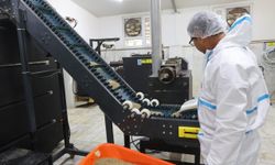 Muğla Büyükşehir, can dostlar için 42 ton mama üretti