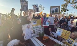 Rojin'in kız kardeşi Elif Kabaiş kimdir?