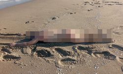 Sahilde 27 yaşındaki erkeğe ait çıplak ceset bulundu