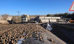 Tır devrildi: Tonlarca patates yola saçıldı!