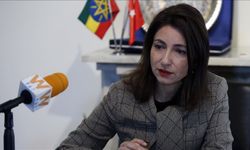Türkiye'nin Avrupa Birliği temsilcisi Yaprak Balkan kimdir?