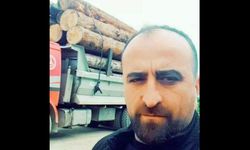 42 yaşındaki işçi ağaç kesimi sırasında hayatını kaybetti