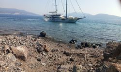 “Aegean Clipper” karaya oturdu: Kurtarma çalışmaları sürüyor