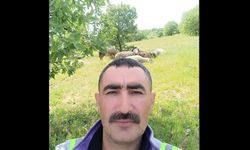Avcı tarafından vurulan çoban hayatını kaybetti