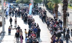 Aydın'da Ata Tohumlarına yoğun ilgi: 80 bin fide, yarım saatte tükendi