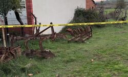 Bahçede oyun felaketi: 8 yaşındaki çocuk feci şekilde can v!erdi