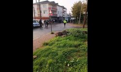 Belediye işçisi çöp kamyonunun altında can verdi