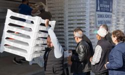 Beydağ'da incir kalitesi yükseliyor: Büyükşehir'den kerevet desteği