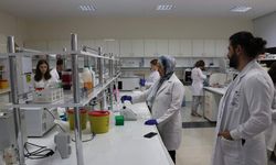 Bor ve kök hücre gücüyle yeni tedavi: STEMBOR tanıtıldı