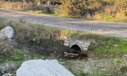 Boş arazide yeni doğmuş bebek cesedi bulundu