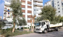 Buca’da ağaç budama seferberliği başladı