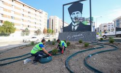 Buca'da kuraklığa karşı yeşil dönüşüm