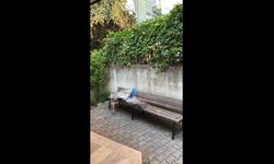 Cami avlusunda bir kişinin cansız bedeni bulundu