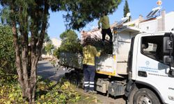 Efeler halkından Başkan Çerçioğlu'na hizmet teşekkürü