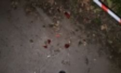 Ehliyetsiz sürücü kırmızı ışıkta geçti, pikapla çarpıştı: 2’si çocuk 3 yaralı