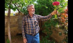 Elektrikli bisiklet sürücüsü kazada yaşamını yitirdi