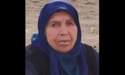 Gelininin darbettiği iddia edilen yaşlı kadın hayatını kaybetti