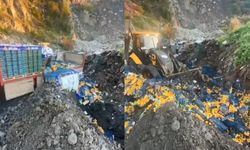 Gıda denetiminde şok sonuç: Mandalinalarda zirai ilaç kalıntısı tespit edildi!