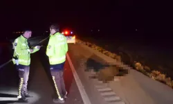 Hakkında kayıp ihbarı vardı, karşıdan karşıya geçerken hayatını kaybetti