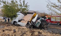 İki kamyon kafa kafaya çarpıştı, bir kişi hayatını kaybetti