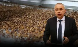 İşletme artığı kuru üzümler Türkiye’de: Kaçak 10 bin ton girdi, 25 bin tonu yolda!