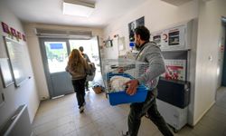 İzmir Doğal Yaşam Parkı'nda afet tatbikatı: Can dostlar da güvende