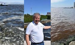 İzmir Körfezi'nde kötü koku sürüyor: Denizin rengi kahverengiye döndü!