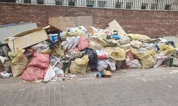 İzmir'de çöp krizi sinek istilasına dönüştü: 'Enfeksiyon oluşturabilir’