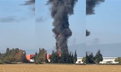 İzmir’de salça fabrikasında yangın