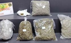 İzmir’de zehir tacirlerine darbe! 5 kilo skunk ele geçirildi